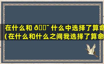 在什么和 🐯 什么中选择了算命（在什么和什么之间我选择了算命）